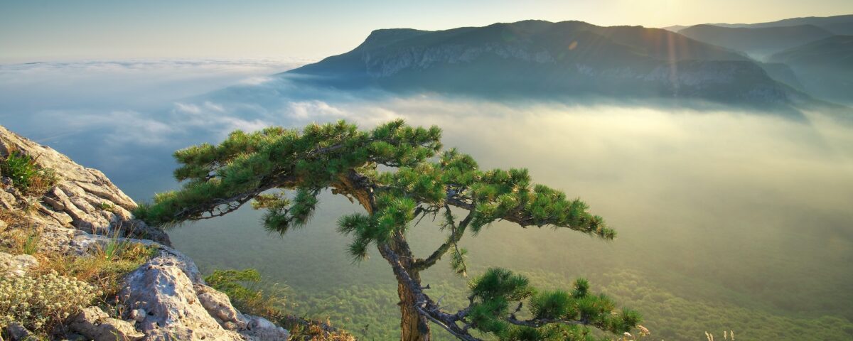 Mountain landscape