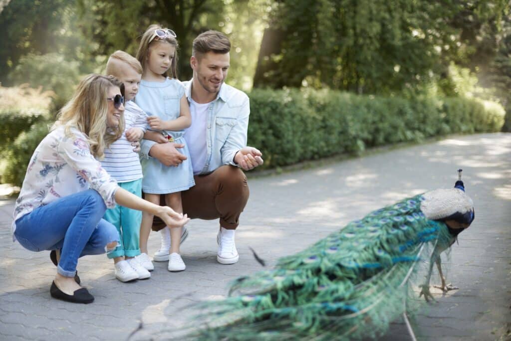 Family spending day at the zoo