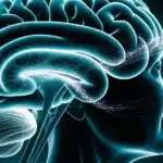 KI entdeckt Ursache von Alzheimer
