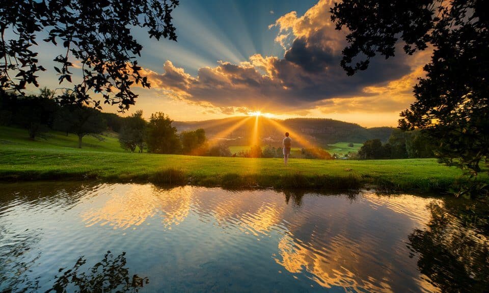 grok kann jetzt wahrnehmen