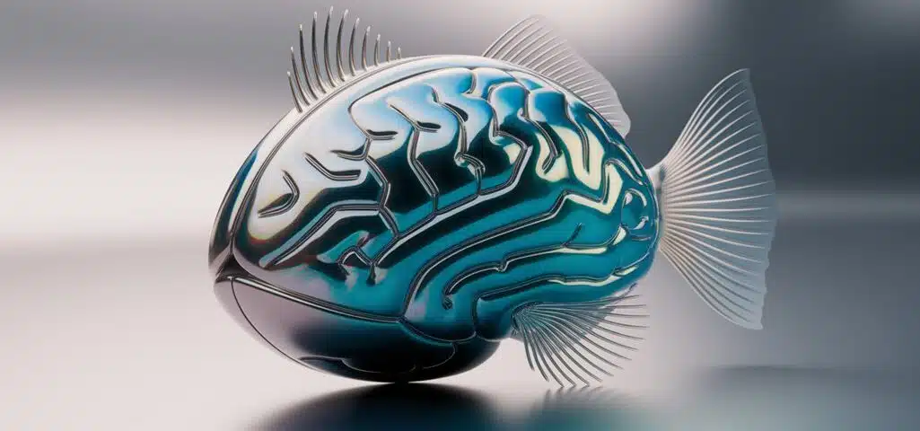fisches neues Hirnmodell